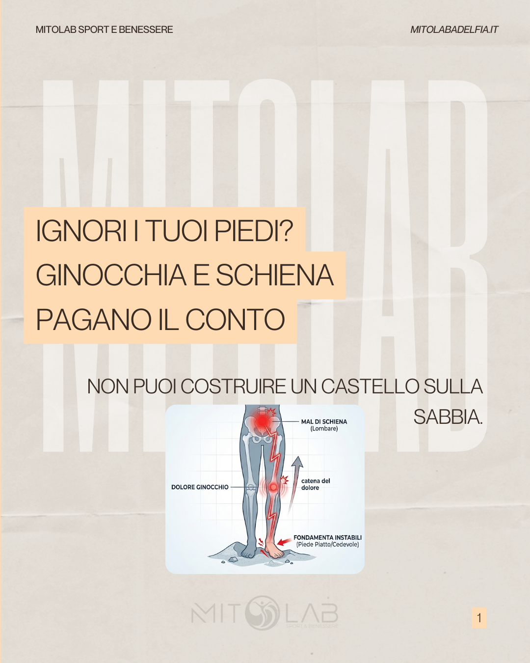 mitolab foot core 1