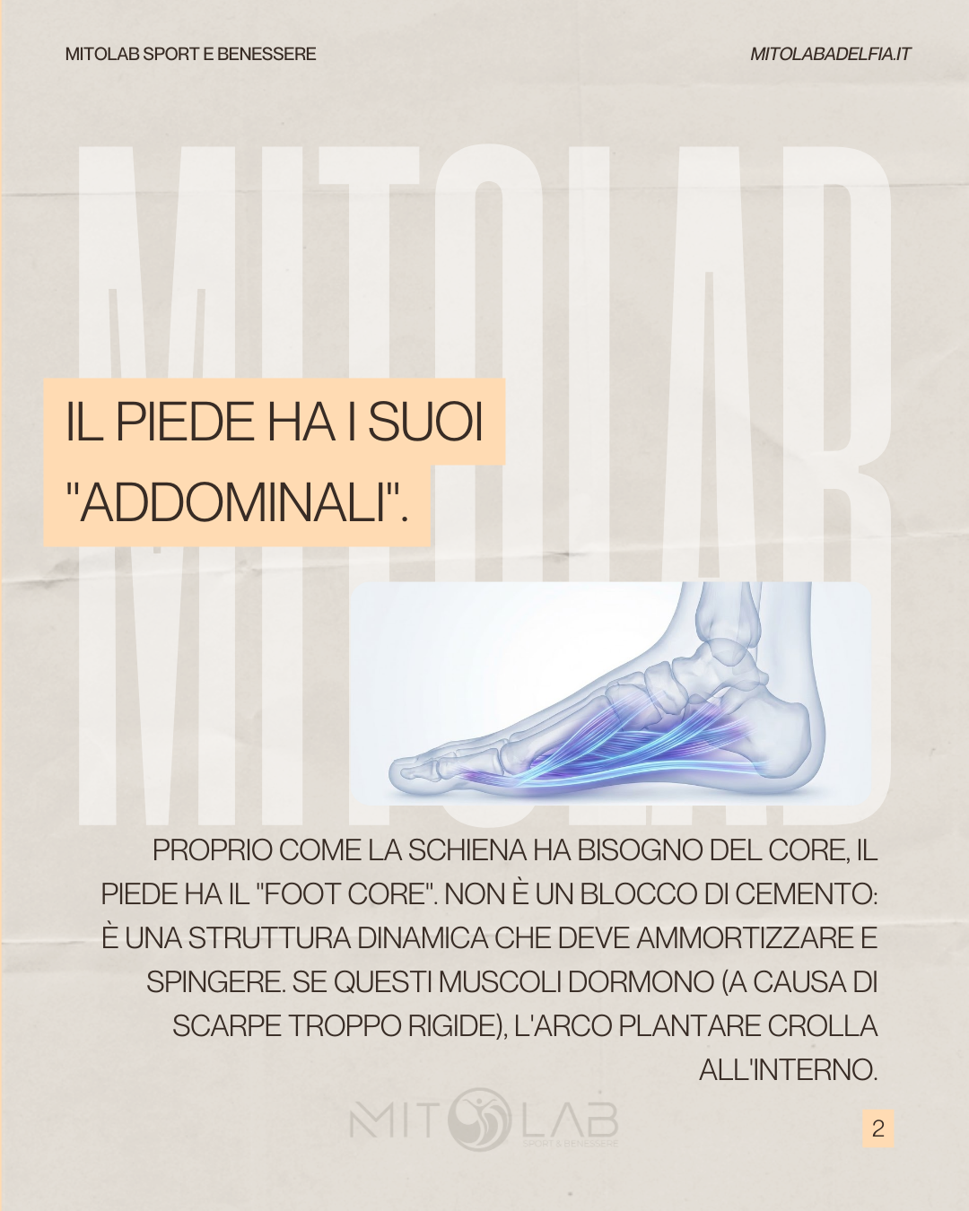 mitolab foot core 2