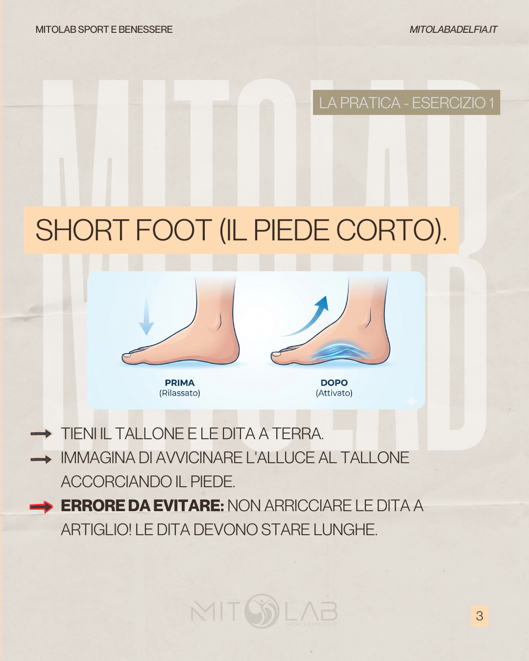 mitolab foot core 3