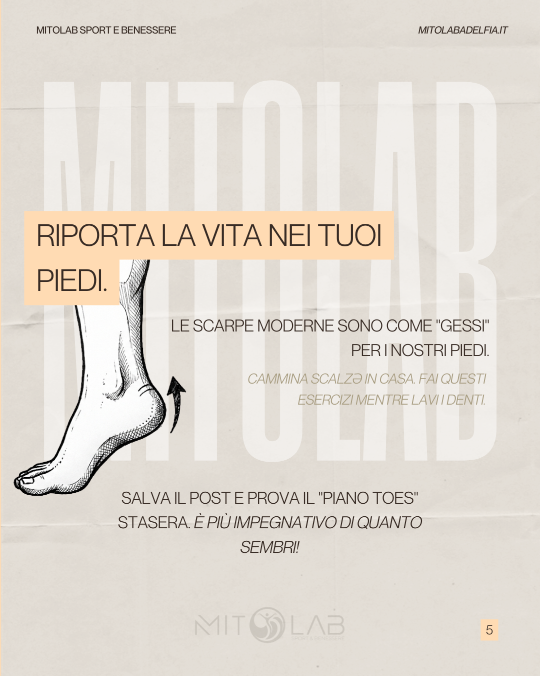 mitolab foot core 5