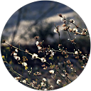 Natalie Mafuta profile picture