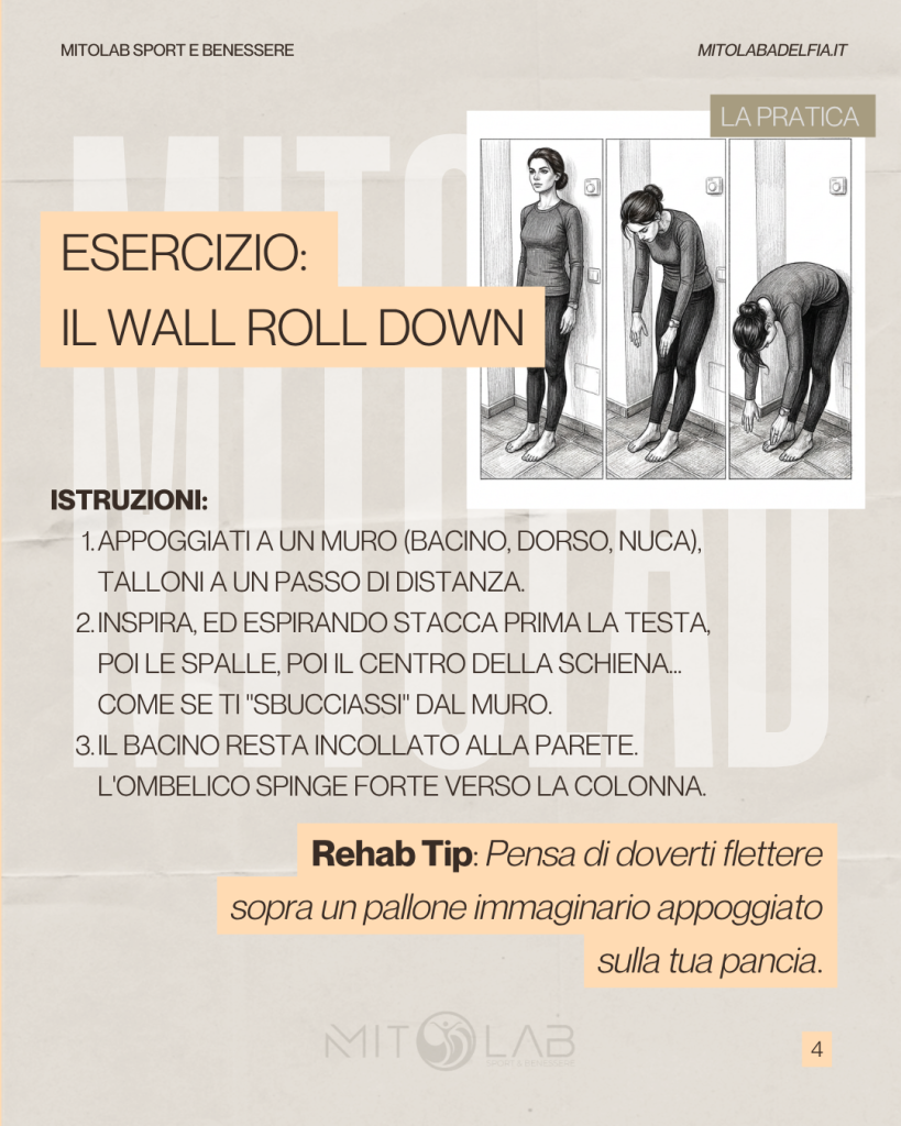 schiena roll down4